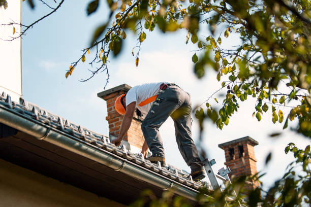 Best Commercial Roofing Services  in Roanoke, IL