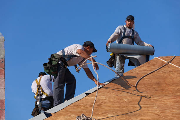 Professional Roofing Contractor in Roanoke, IL