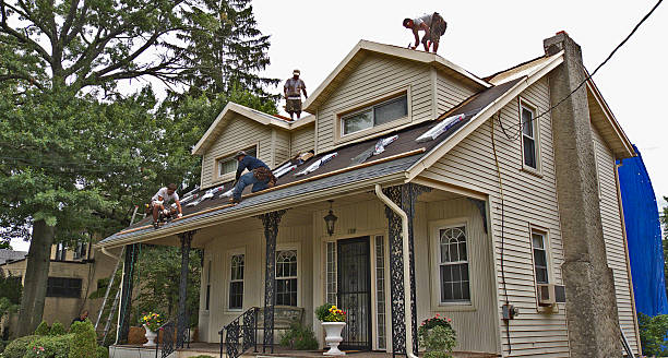 Best Storm Damage Roof Repair  in Roanoke, IL