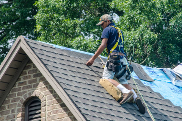 Best Flat Roof Repair Services  in Roanoke, IL